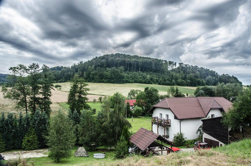 Romanowka Олджиховице-Клодзке Экстерьер фото